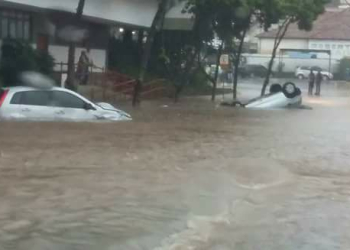 Foto: Katsilene Marchezin / Você no PIRANOT