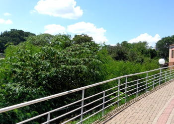 Foto: PiraNOT Piracicaba