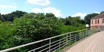 Foto: PiraNOT Piracicaba