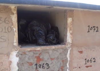 Foto: Júnior Cardoso