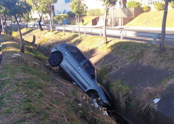 Foto: Colaboradores PIRANOT