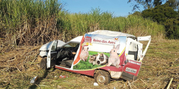 Carro capota e fica destruído após passar por buraco em pista