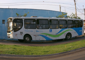 Foto: Gustavo Alves de Oliveira / PIRANOT
