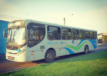 Foto: Gustavo Alves de Oliveira / PIRANOT