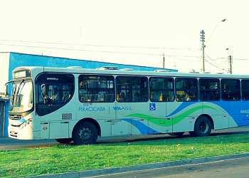 Foto: Gustavo Alves de Oliveira / PIRANOT