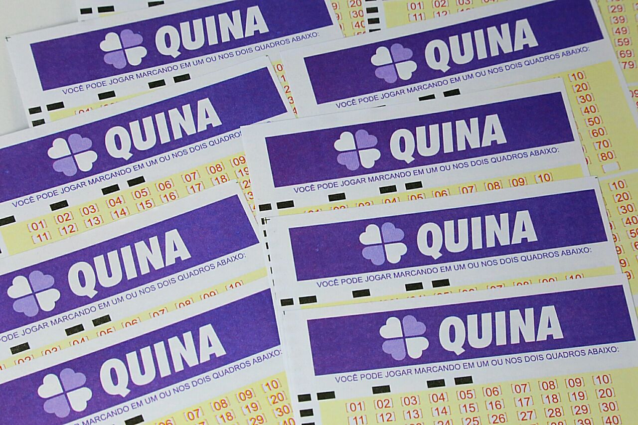 Apostas de AM e SC acertam o concurso 4509 da Quina