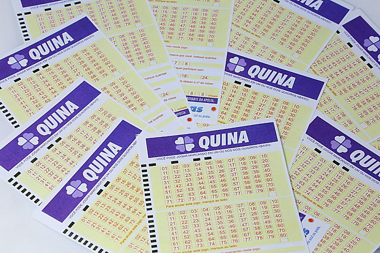 Resultado do concurso 4511 da Quina desta sexta-feira (20)