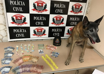 Em Piracicaba, ‘Pepa’ vai para a cadeia após operação da DISE