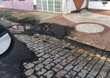 Foto: Rafael Fioravanti / PIRANOT