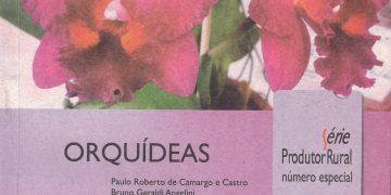 Piracicaba escolhe melhores trabalhos do humor mundial neste sábado