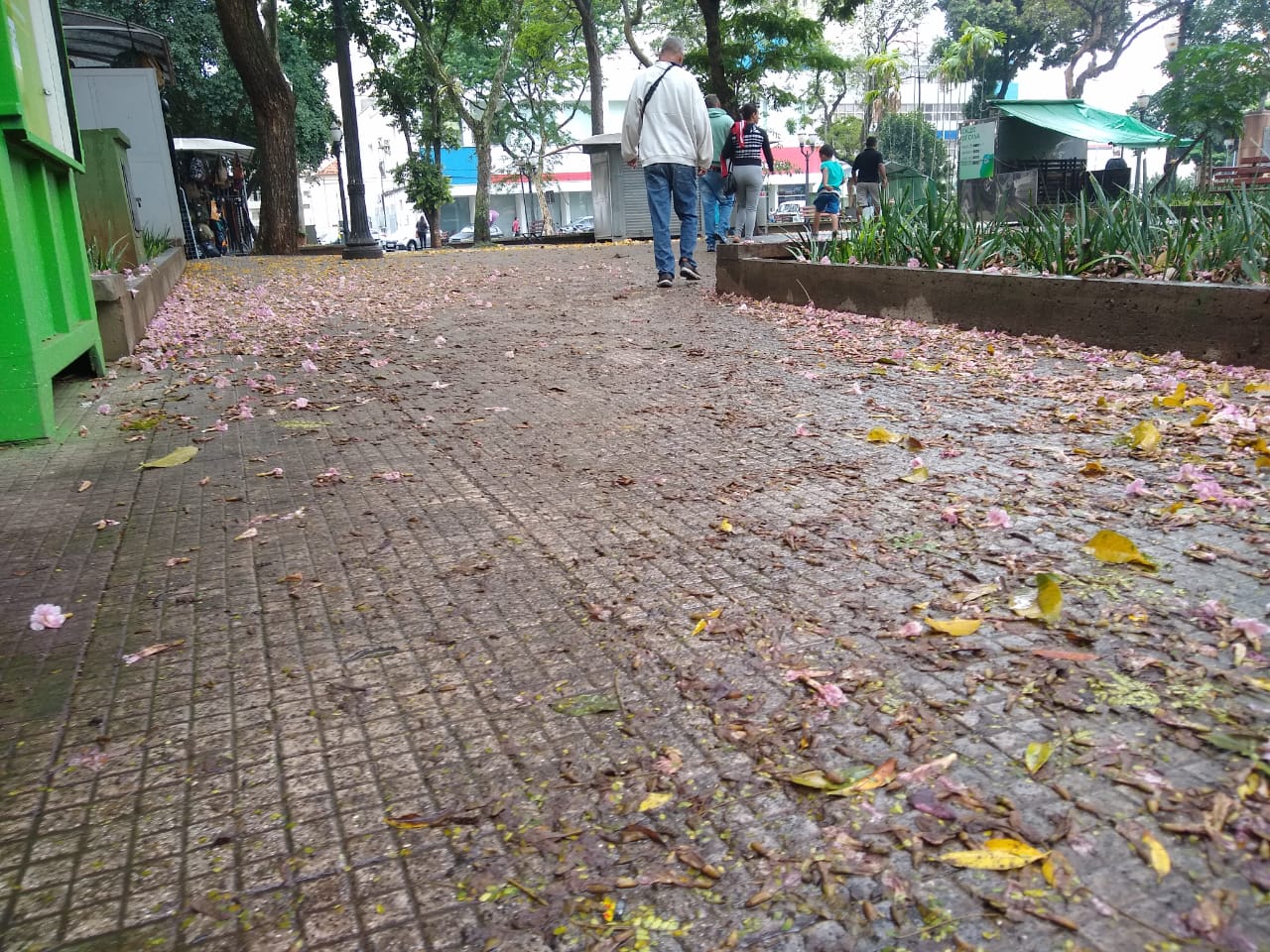 Piracicaba
