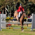 Piracicabano de 17 anos representará o Brasil no Campeonato Sulamericano de Hipismo