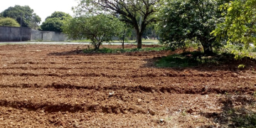 Sema instala horta comunitária em mais um bairro de Piracicaba (SP)