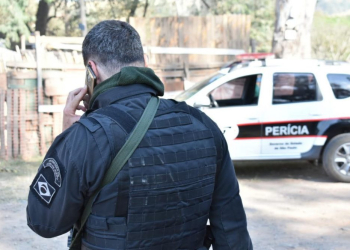 Foto: Wagner Romano/PIRANOT