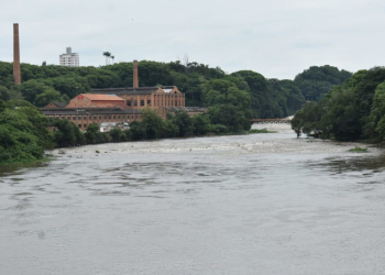 Foto: Wagner Romano/PIRANOT