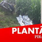 Homem é encontrado morto após acidente em rodovia de Piracicaba (SP)