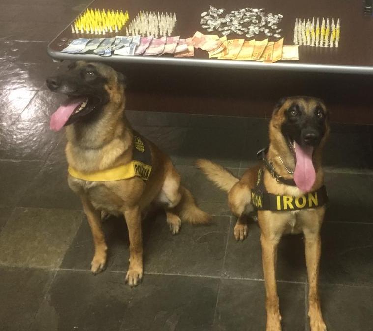 Canil da PM apreende dinheiro e drogas provenientes de tráfico em Piracicaba