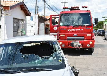 Foto: Wagner Romano / Jornal PIRANOT