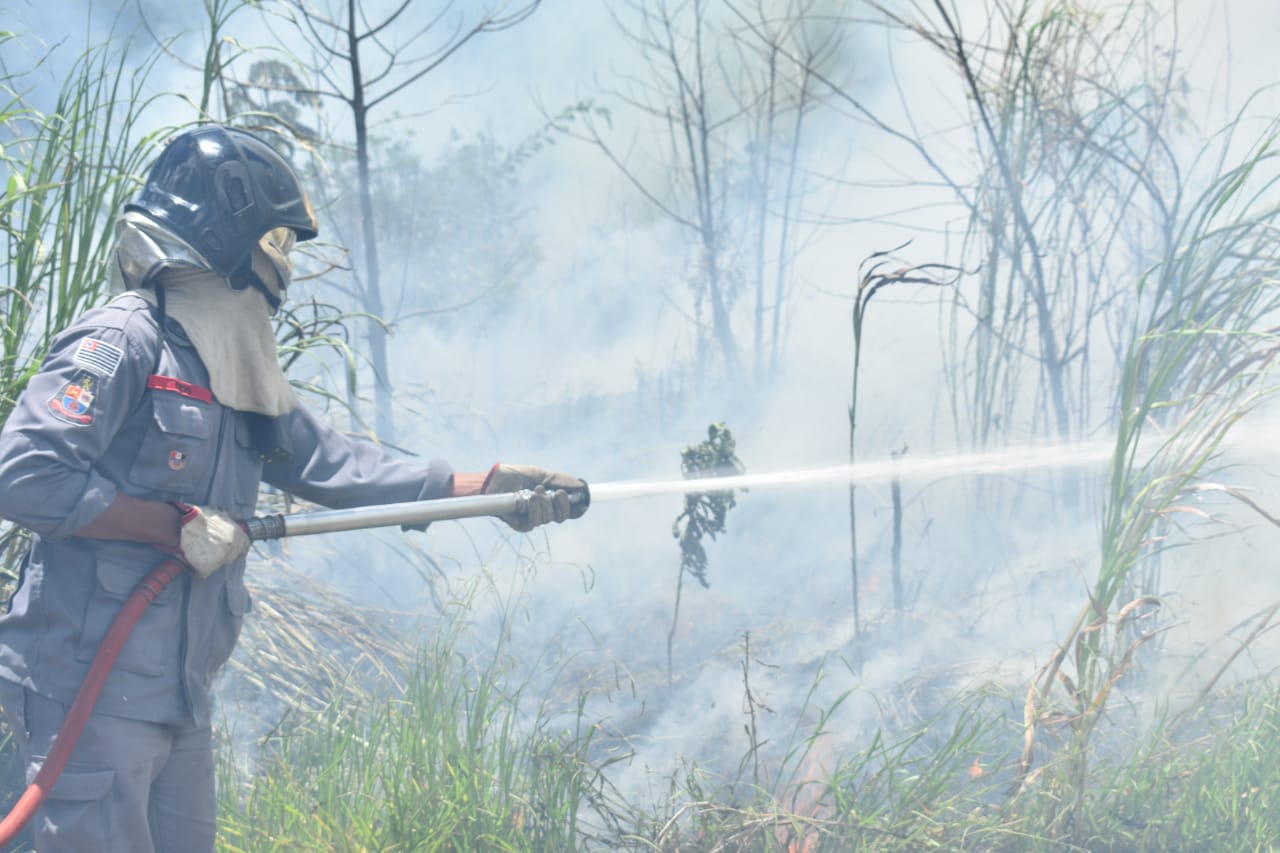 Incêndio de grandes proporções atinge área de proteção ambiental em Piracicaba (SP)