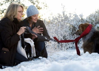 “Sessão da Tarde” desta quinta-feira (28) exibe “Querido Companheiro”