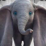 Filme “Dumbo” já está disponível em cartaz no Cine Shopping Piracicaba