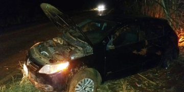 Casal sai ileso após cachorro entrar na frente de veículo e carro capotar