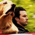 “Meu Amigo Enzo” estreia no cinema de Piracicaba nesta quinta-feira (08)