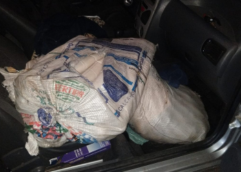 Foto: Polícia Civil