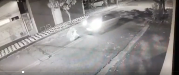 Jovem é atropelado ao salvar cachorro da família; veja imagens