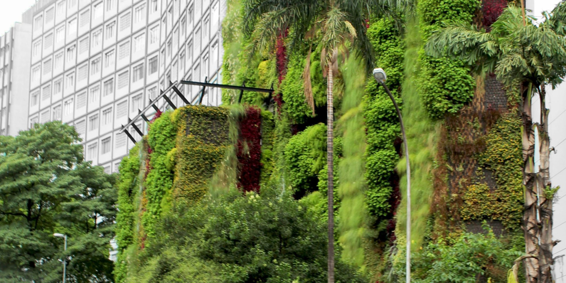 Marca piracicabana, líder em paisagismo vertical, lança crowdfunding neste sábado (28)