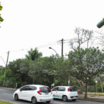 Erro de endereço leva Prefeitura de Piracicaba a cancelar 55 multas por avanço de sinal vermelho