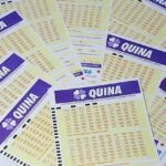 Resultado geral da QUINA 5256 desta terça-feira, 28/04/2020