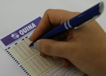 Quina 5112: resultado do concurso de 01 de Novembro de 2019