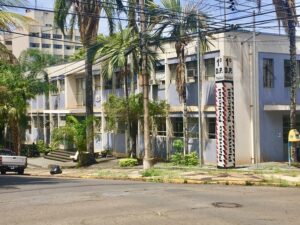DP plantão