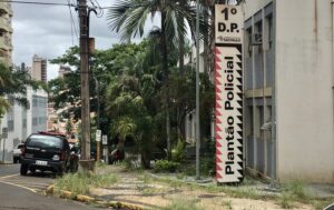 1 DP plantão policial