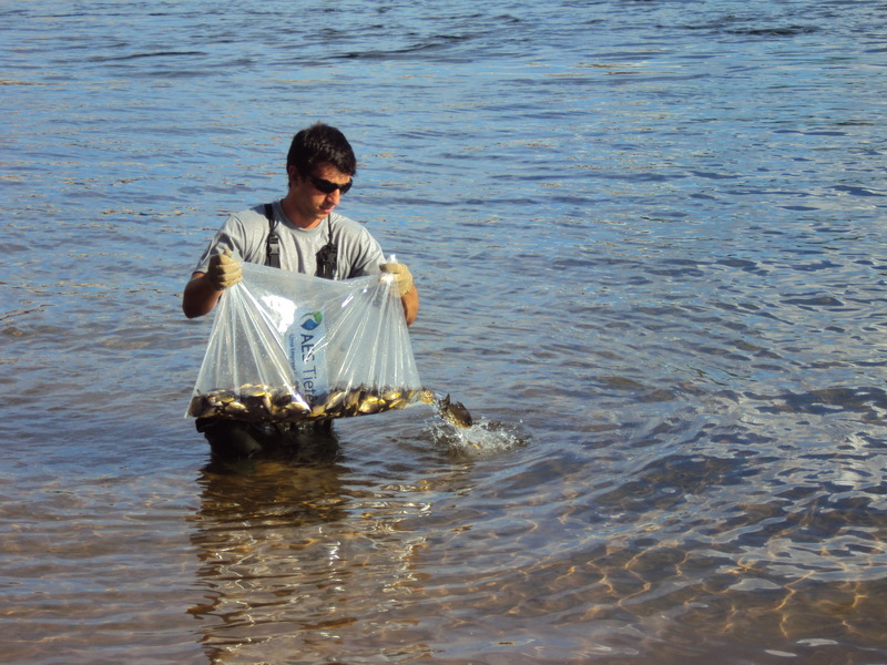 Foto: Gilberto Baltieri / Instituto Beira Rio
