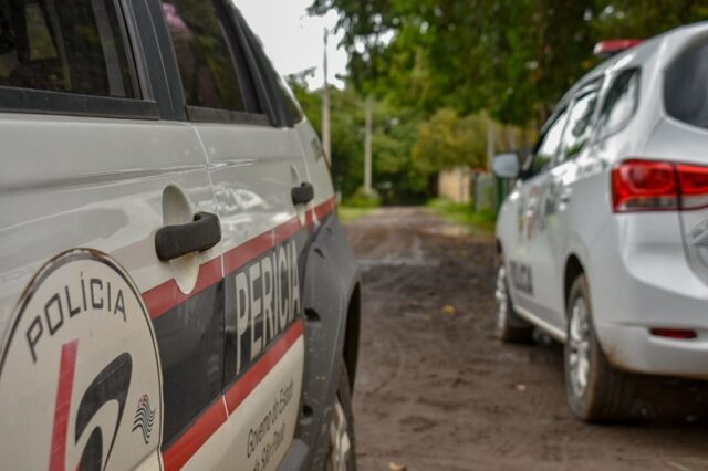 Perícia