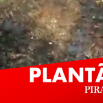 Veículo incendiado com cadáver dentro é encontrado em canavial de Rio das Pedras