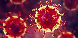 Sangue masculino tem mais enzima que leva o coronavírus a infectar células