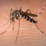 Piracicaba chega à 4ª morte por dengue neste ano