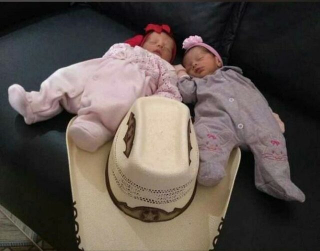 Gêmeas recém-nascidas morrem após ataque de cachorro da família na Bahia