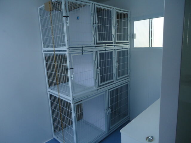 Castramóvel, responsável pela castração de cães e gatos Castramóvel, responsável pela castração de cães e gatos