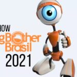 Enquete BBB21: você quer famosos e anônimos na próxima edição?