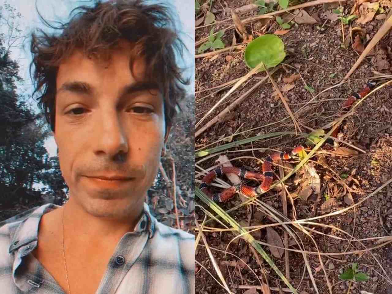 Uma foto do cantor Di Ferrero e ao lado uma foto do ninho de cobras