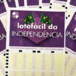 Lotofácil da Independência: tudo o que você precisa saber sobre esse sorteio