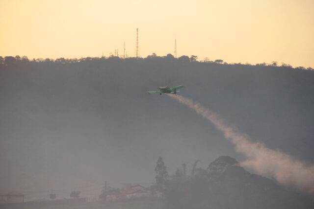 Forte incêndio atinge 100 mil m² de mata na Serra de São Pedro Forte incêndio atinge 100 mil m² de mata na Serra de São Pedro
