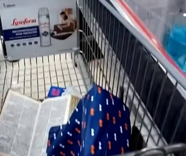 Uma foto dos pertences encontrados dentro da bolsa do casal Uma foto dos pertences encontrados dentro da bolsa do casal