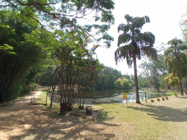 Com avanço de Piracicaba à fase verde, Horto de Tupi reabre Com avanço de Piracicaba à fase verde, Horto de Tupi reabre