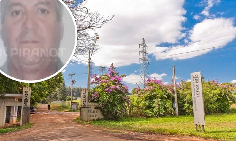 Foto: Divulgação/USP