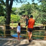 PIRACICABA 254 ANOS | Zoológico e Paraíso da Criança abrem para o aniversário da cidade